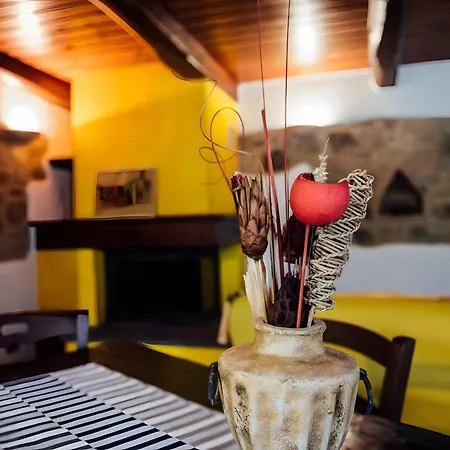Il Noce Apartment Castiglione d'Orcia